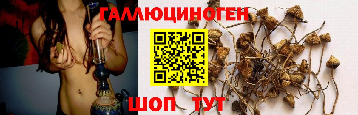 Галлюциногенные грибы мицелий Боровичи